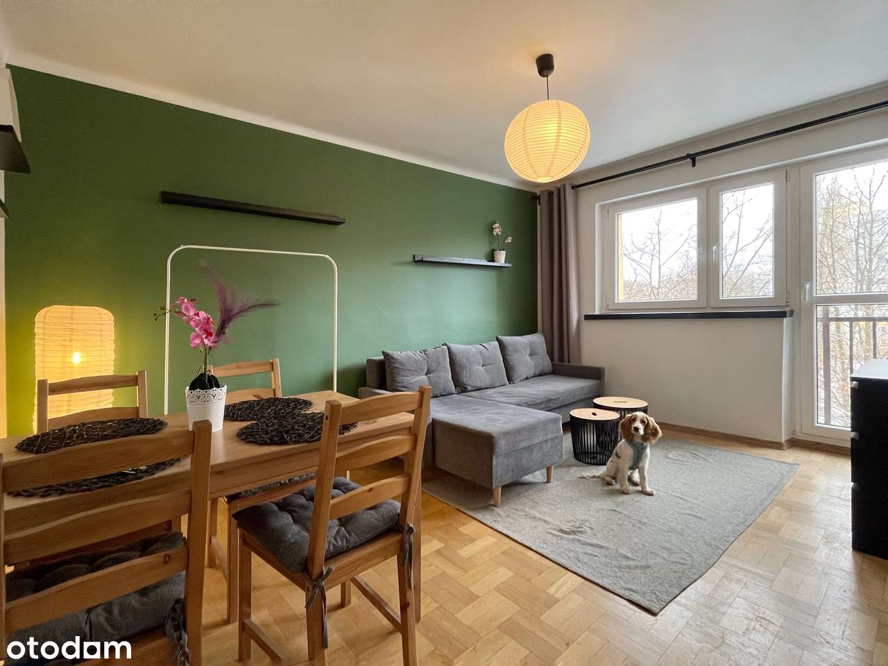 Centrum Sosnowiec 2 pokoje mieszkanie na wynajem for rent - Pełny obrazek: 2/7