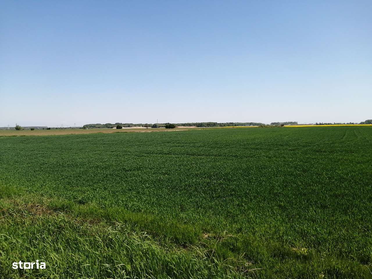 Teren intravilan 5114 mp in comuna 1 Decembrie - Ilfov - Imagine principală: 3/4