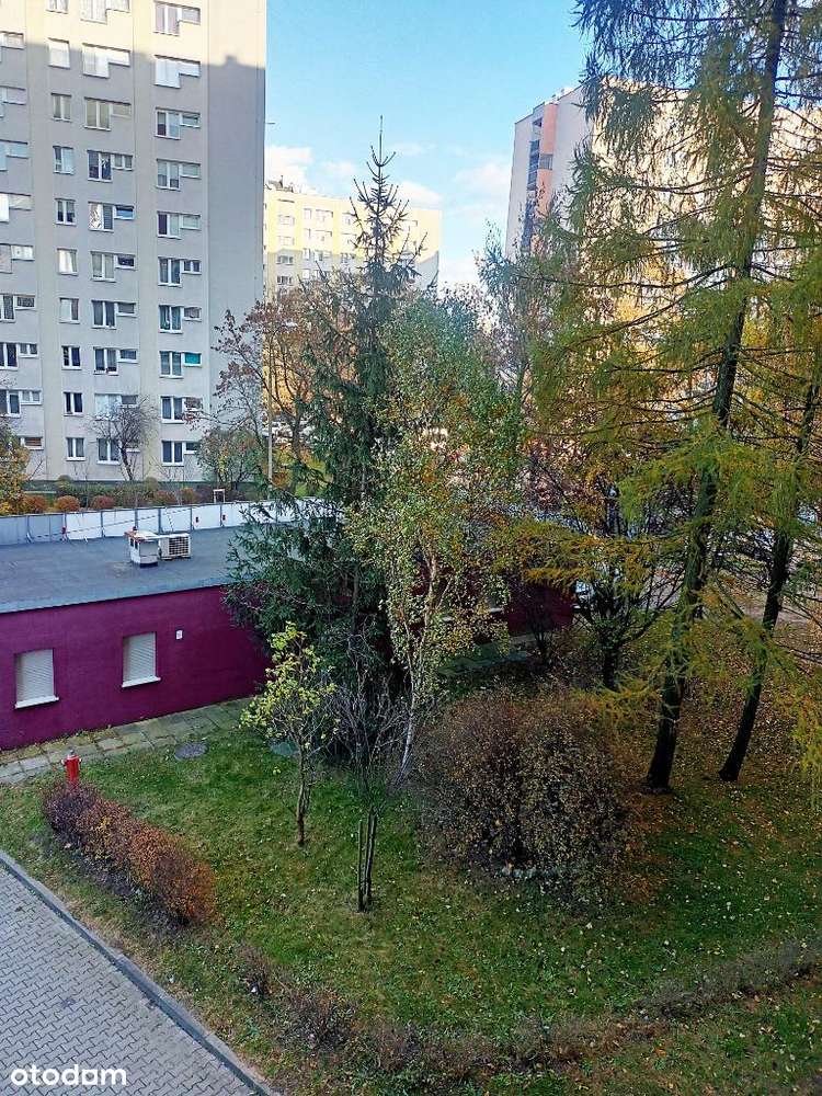 3 pokojowe z potencjałem-11