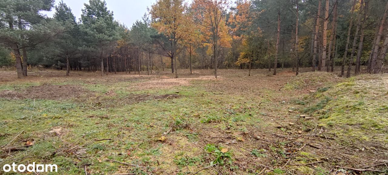 Piękne działki przy lesie - 13km od Warszawy