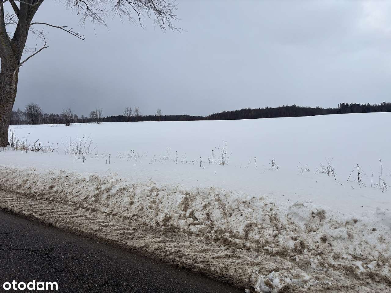 Działka rolna pod inwestycje - jest przeliczeniowy-0