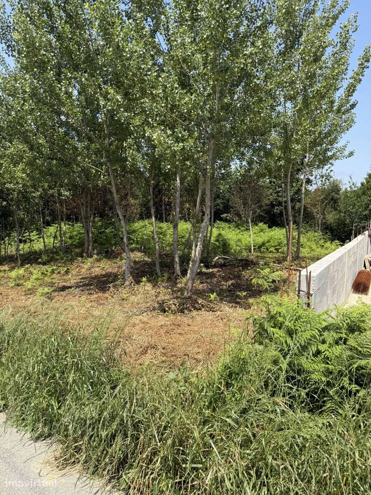 Terreno plano para construção-0