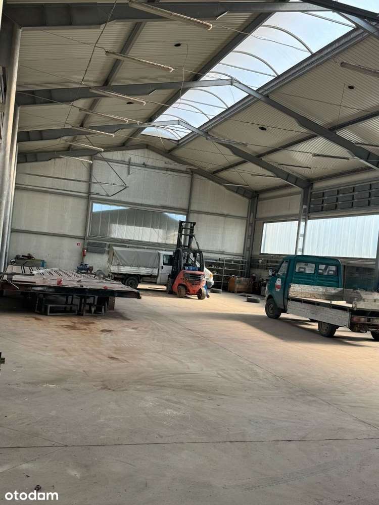 Działka zabudowana - teren przemysłowy 2,2201 ha - Pełny obrazek: 5/6