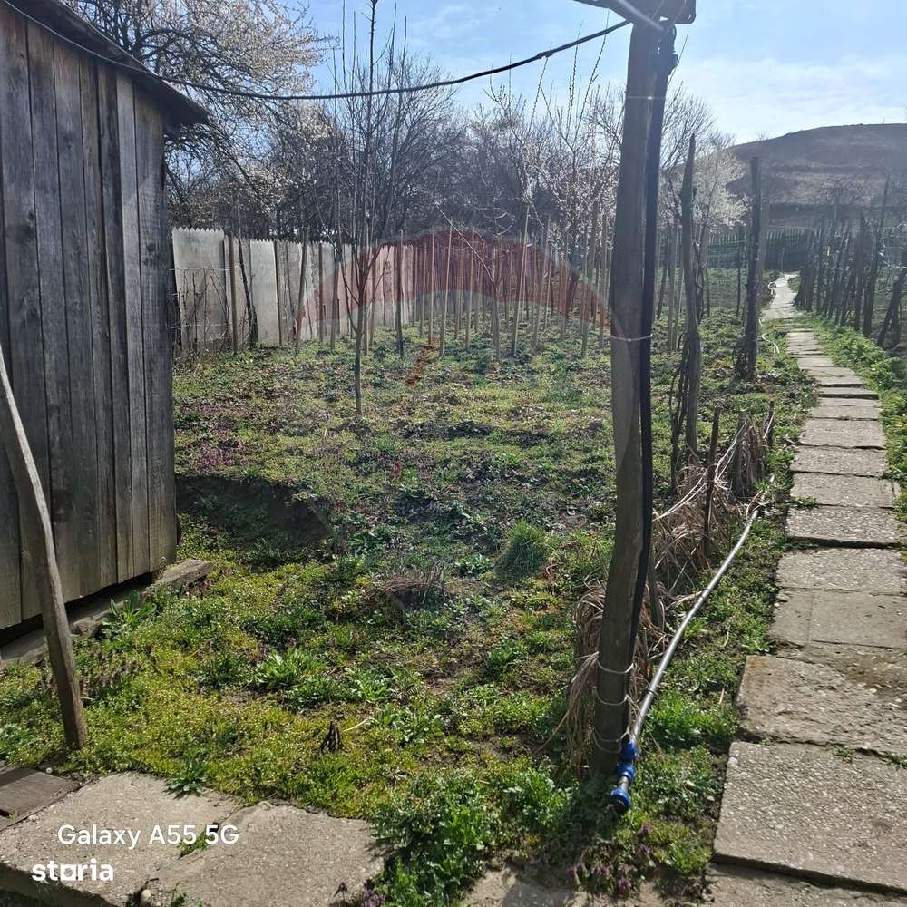 Casă cu 3 camere aproape de Medias in loc. Tarnava str. Dumbravii 58-8