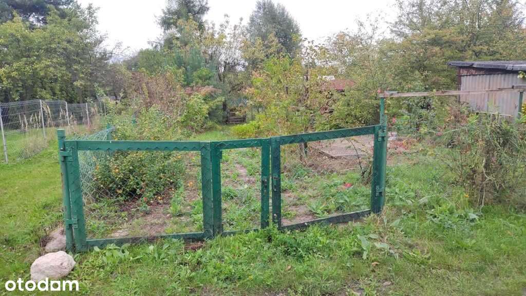 Działka ROD w Radomiu – Potkanów, „Pod Skarpą” - Pełny obrazek: 2/15