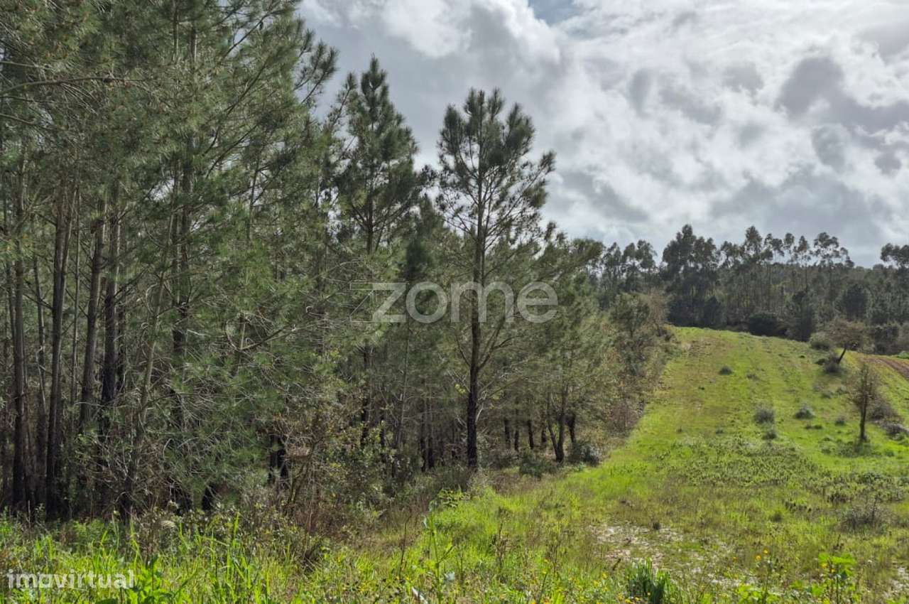 Terreno Rústico em Abrigada, Alenquer - Grande imagem: 4/50