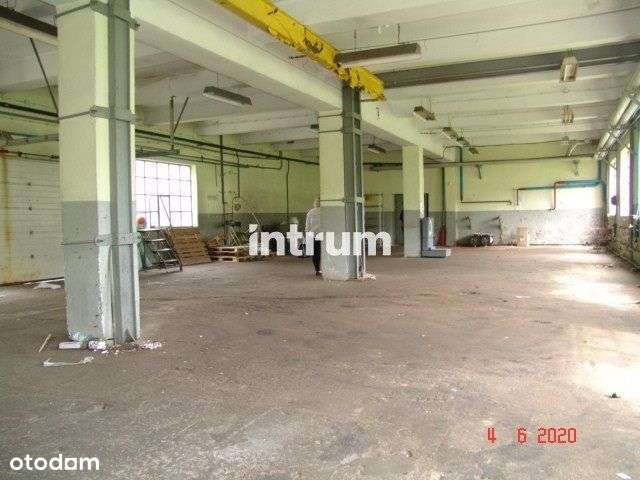 Kompleks magazynowy 12 km od granicy czeskiej! - Pełny obrazek: 5/6