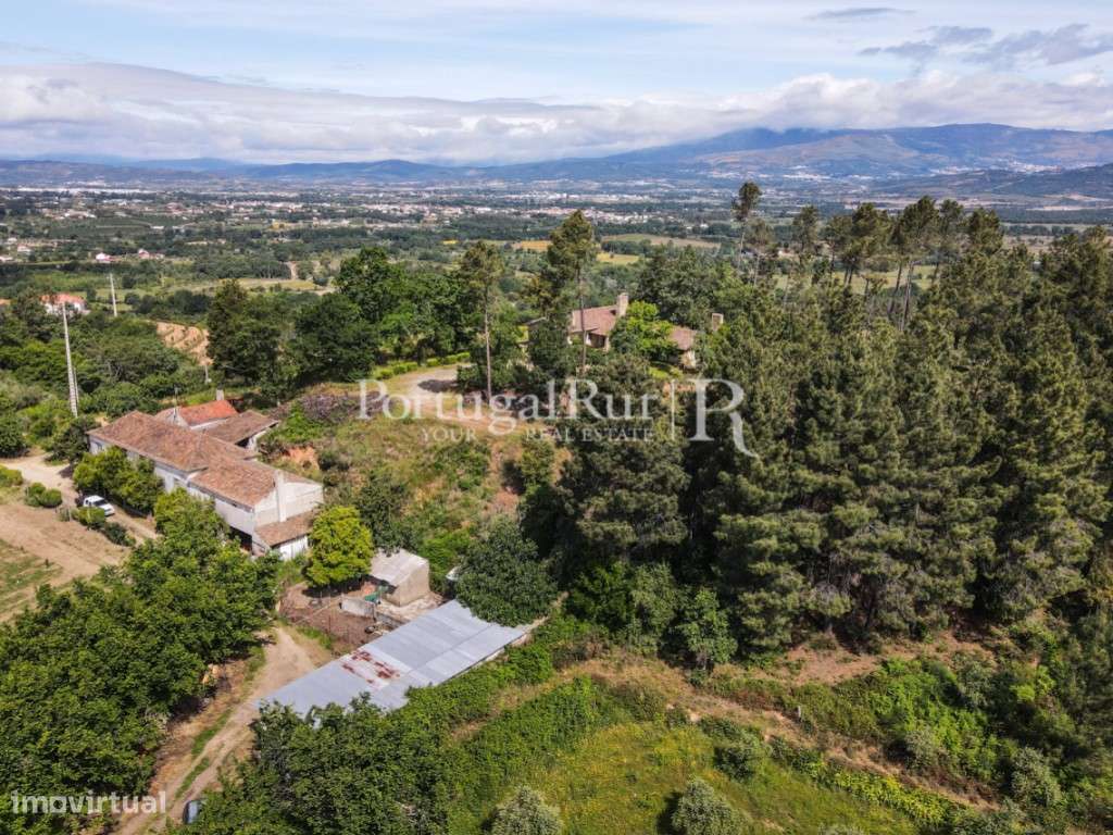 Quinta de 4 ha com 3 casas e cerejeiras no Fundão, ideal para turismo-53