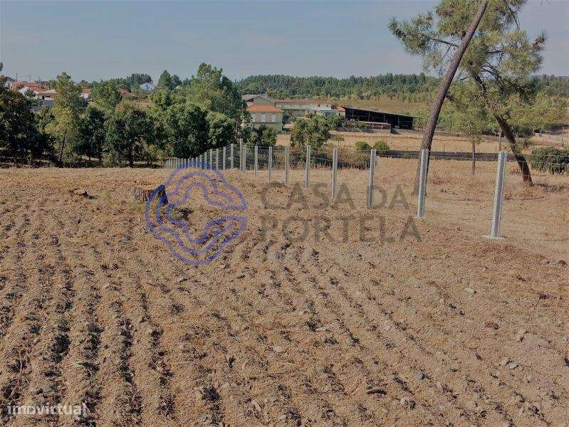 Terreno com 7.050m2 para a construção até 4 moradias, perto de Tomar n - Grande imagem: 4/31