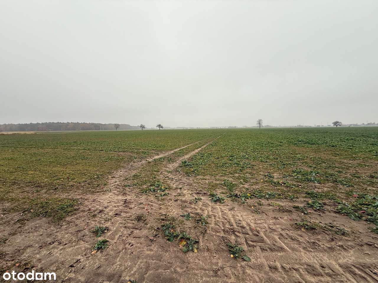 Grunt inwestycyjny, turystyka, sport i rekreacja, Batorowo-6