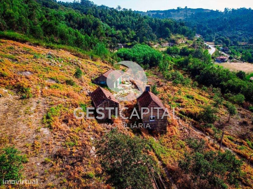 Quinta com 12.046 m2 2 Casas em Pedra para Reconstruir - Sande, Marco - Grande imagem: 4/16