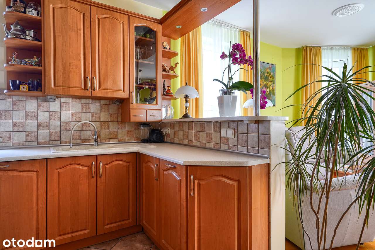 DWA POZIOMY, ŻADNYCH SKOSÓW, WSZĘDZIE BLISKO! Księga Wieczysta-4