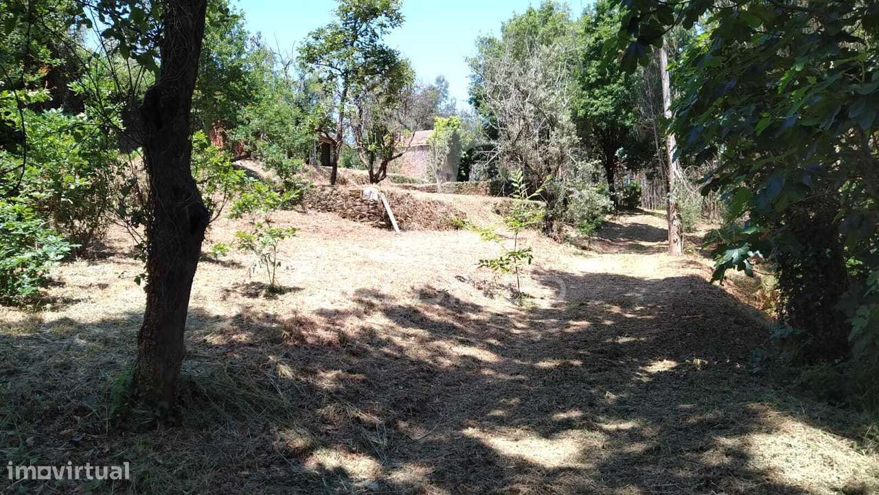 Terreno Urbanizável de 4514m² – Perto do Rio Alfusqueiro - Grande imagem: 3/12