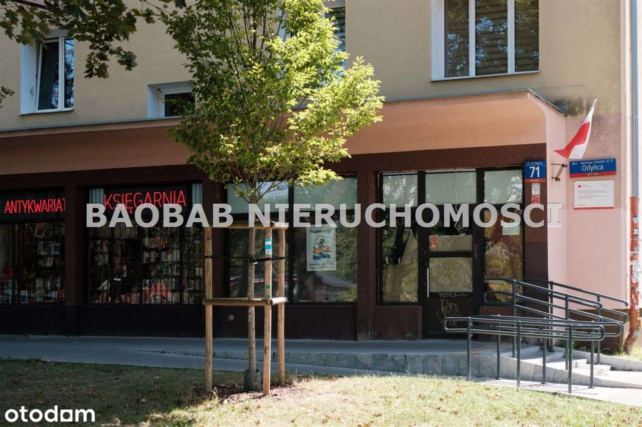 Odyńca 71 do sprzedania-19