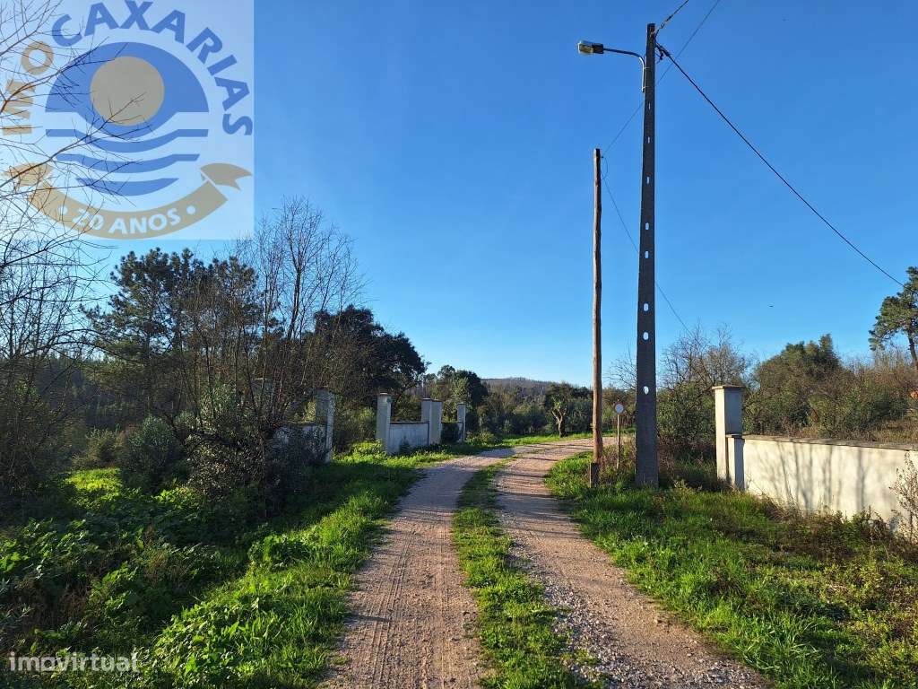 Terreno para construção-Mata - Grande imagem: 2/6