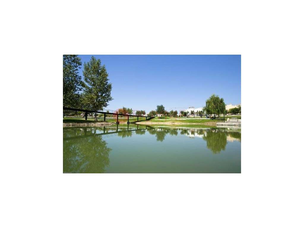 Terreno Agrícola em Almancil - 15 000 m² em Arrendamento - Grande imagem: 4/4