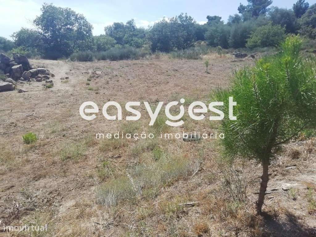 Terreno urbano para Construção na aldeia de Malpique, Caria - Grande imagem: 2/10