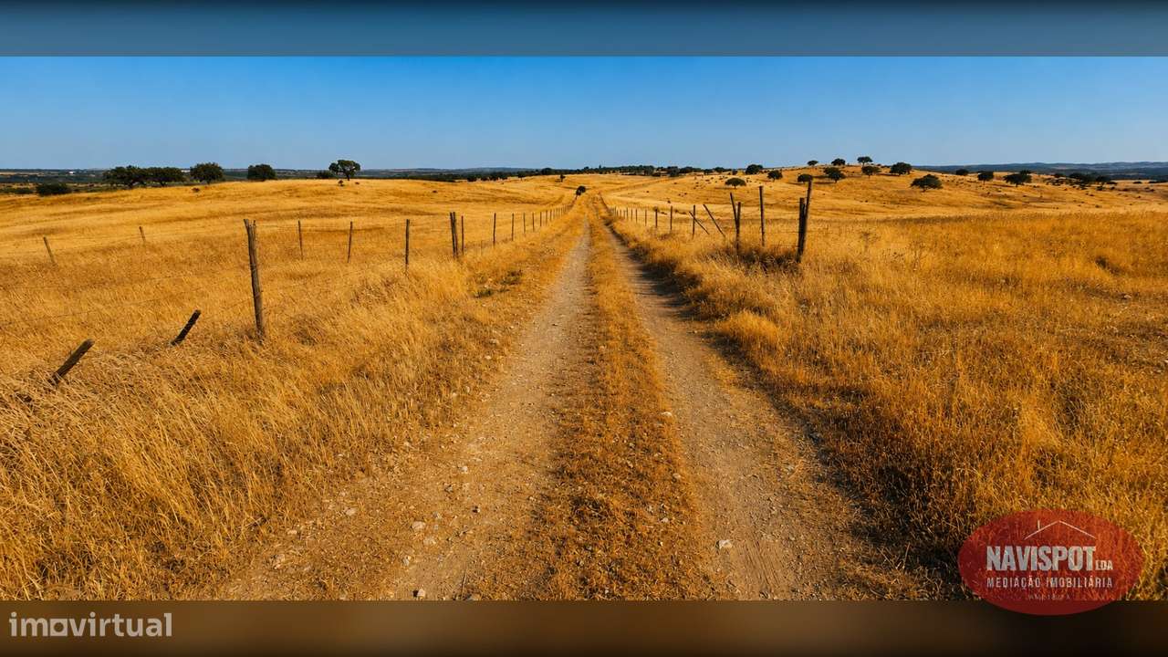 Herdade com 750 hectares no Alentejo-26