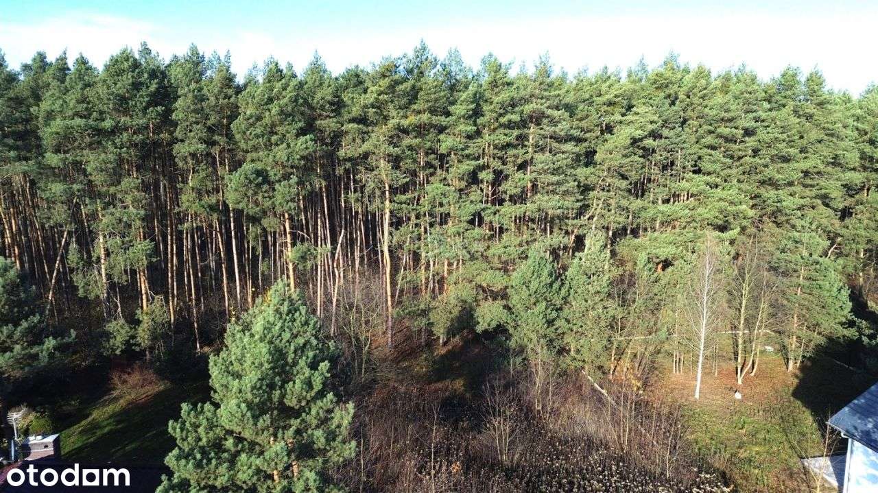 Działka, 1 200 m², Biskupice Oławskie - Pełny obrazek: 4/10