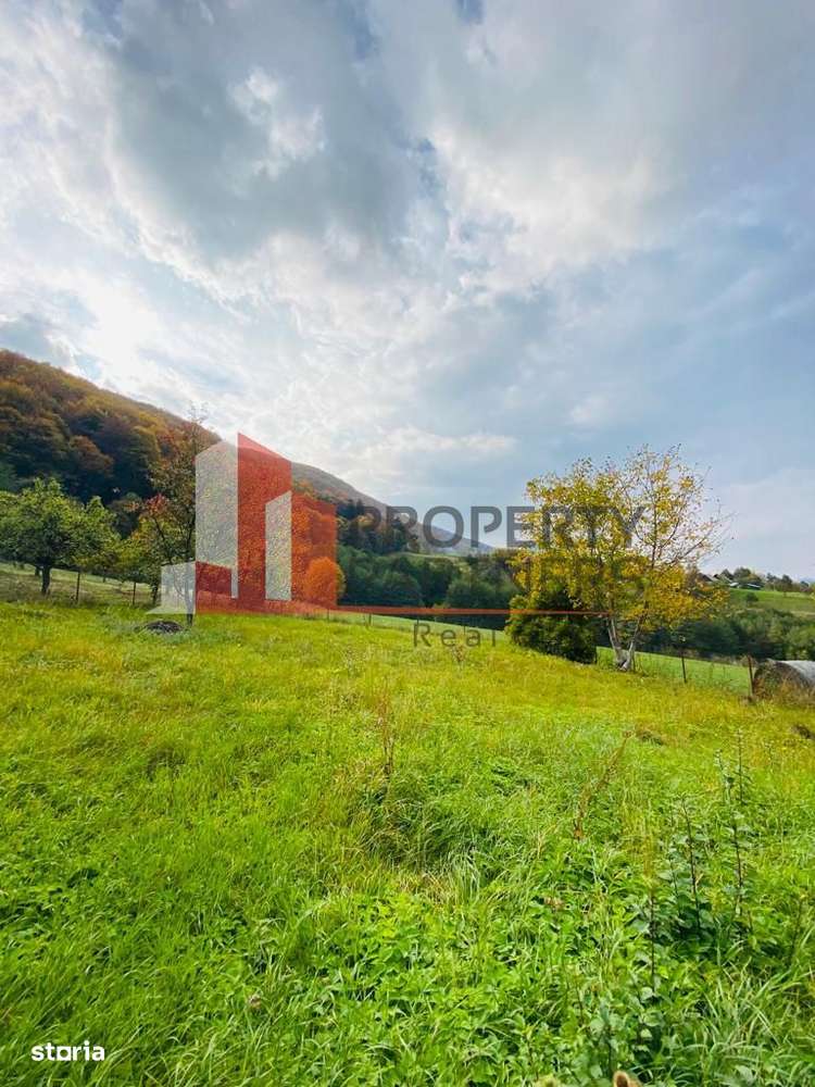 Casa + teren 1700 mp langa Padure Bran/ Predelut - Imagine principală: 2/20