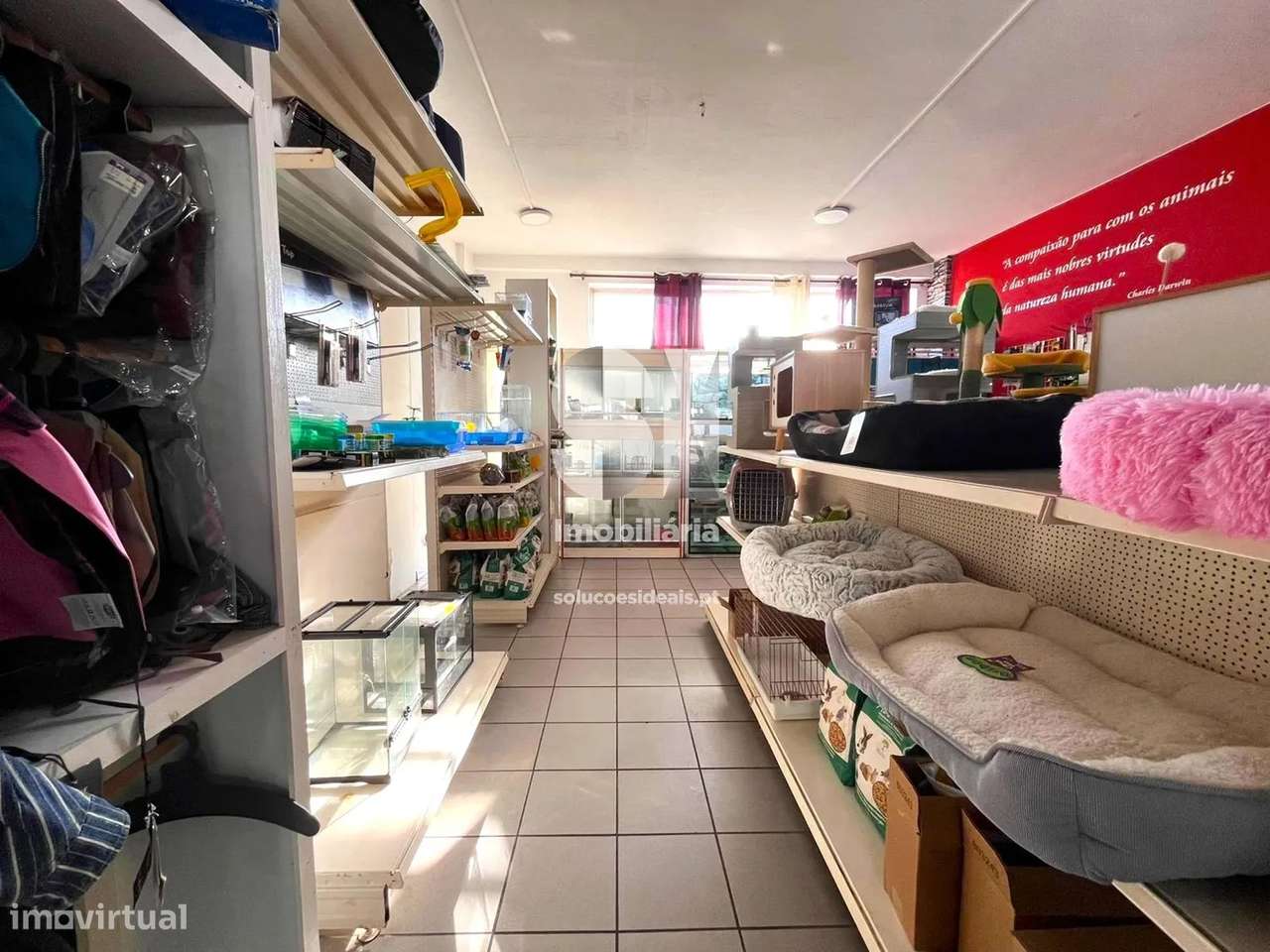 Loja em Vila real - Grande imagem: 3/23