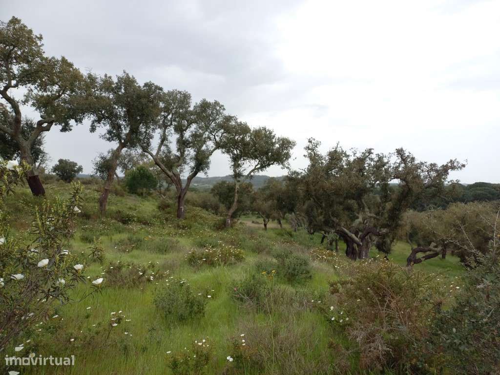 Monte Alentejano - Grândola-12