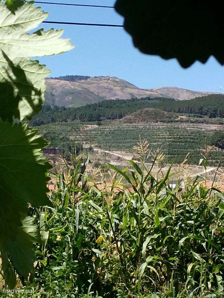 Moradia Mondim da Beira - Viseu-55