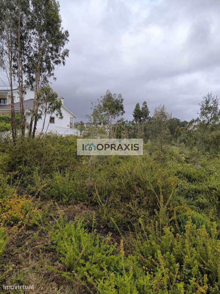 Terreno para construção em Carriço, Barracão -Leiria - Grande imagem: 5/6