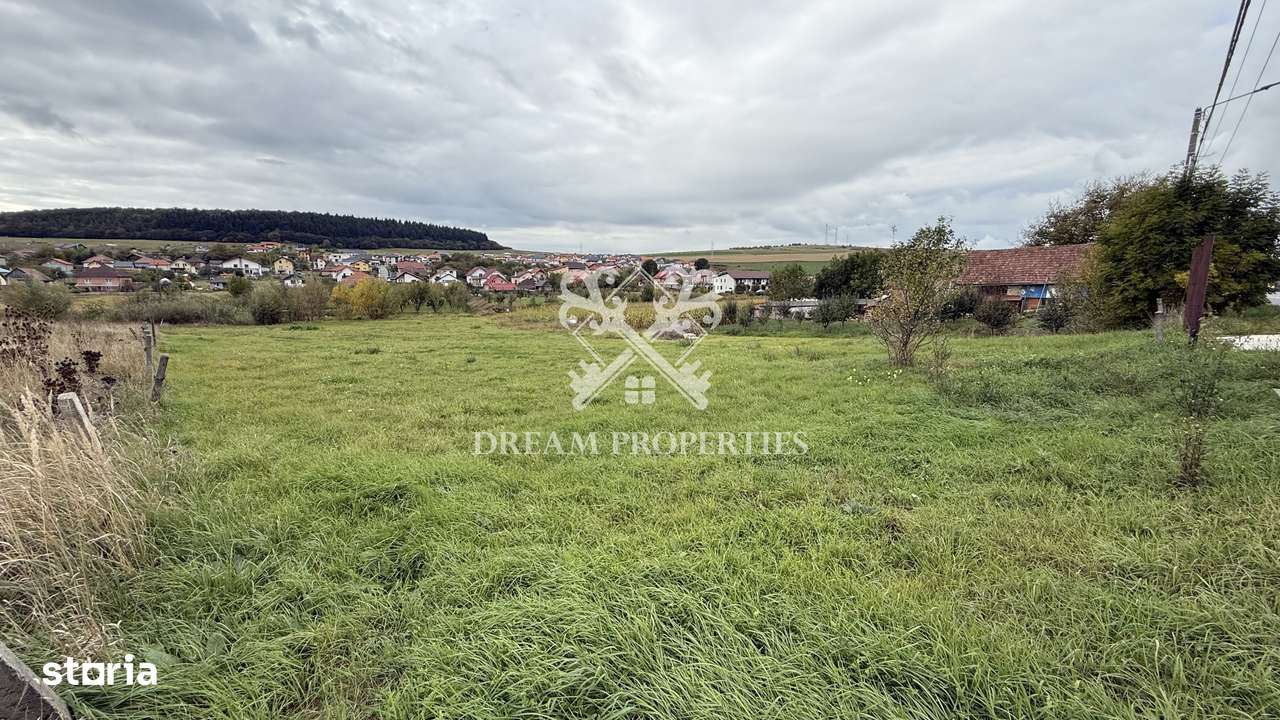 Oportunitate investitie! Teren intravilan, 3496 mp, centru Chinteni - Imagine principală: 5/6