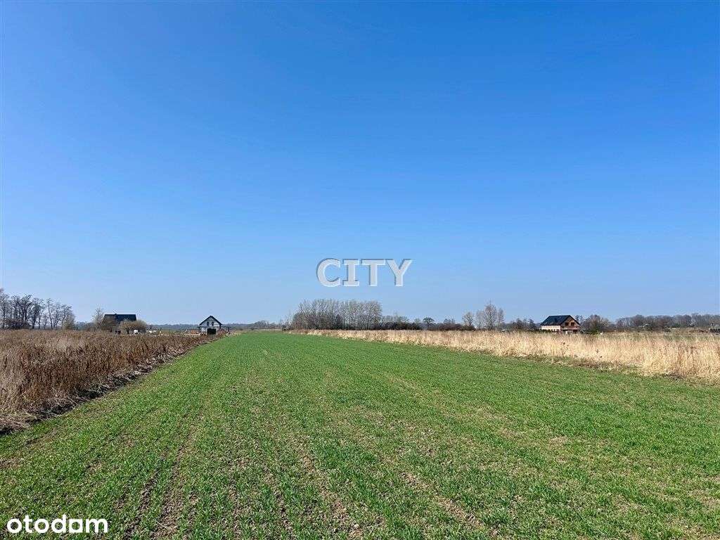 nowa oferta, Kobierzyce, duża powierzchnia - Pełny obrazek: 2/5