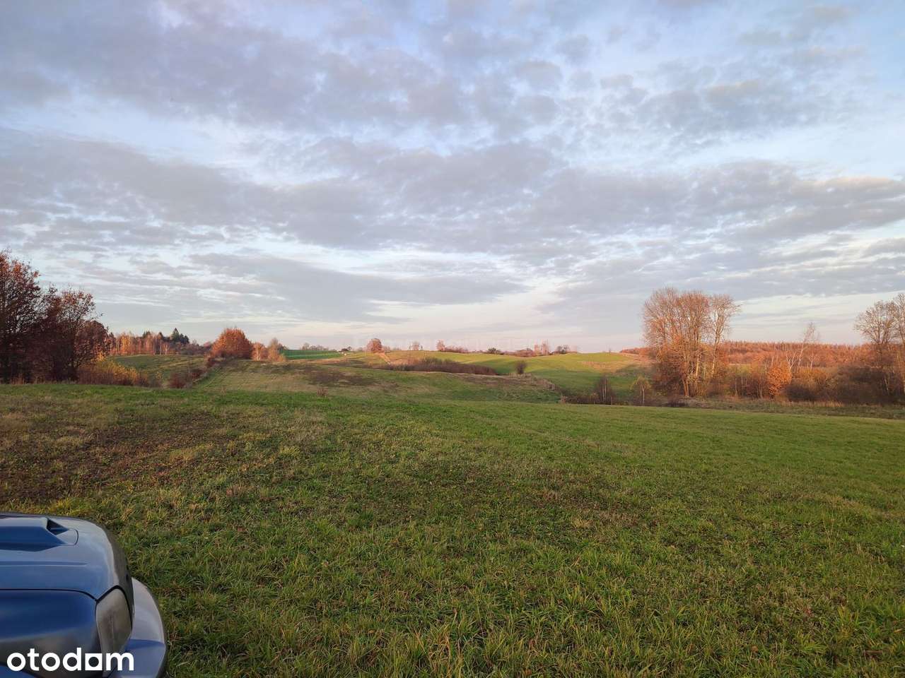 Działki rolne Mostkowo gmina Łukta - Pełny obrazek: 4/7