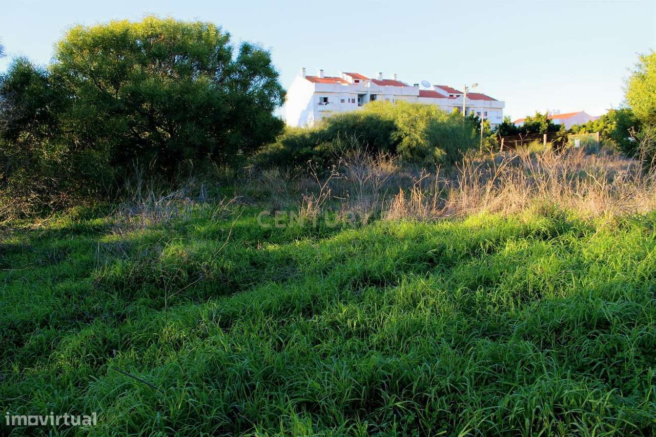 Dois lotes de terreno rústico – Vila Nova de Caparica - Grande imagem: 3/6