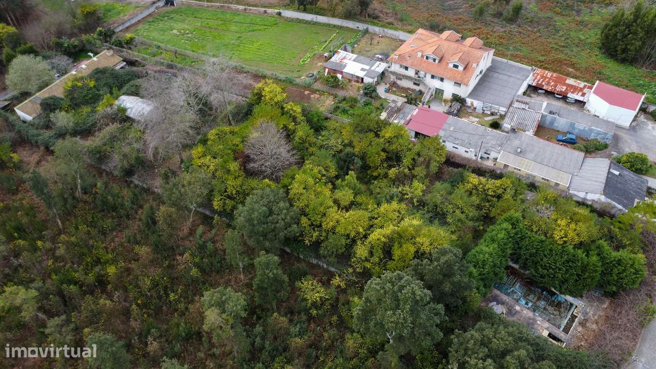 Quinta em Grijó com Piscina e Potencial para Alojamento Rural-6