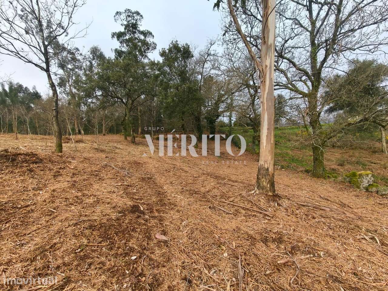 Terreno Agrícola com 10.760m2 em Cossourado frente ao Rio Neiva-13