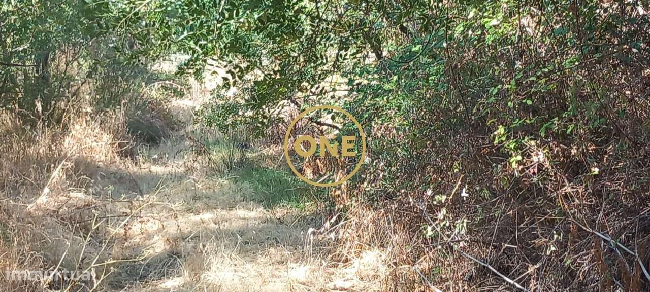 Terreno com 21.960 m2 e viabilidade construtiva | Vila Nova da Barquin-2