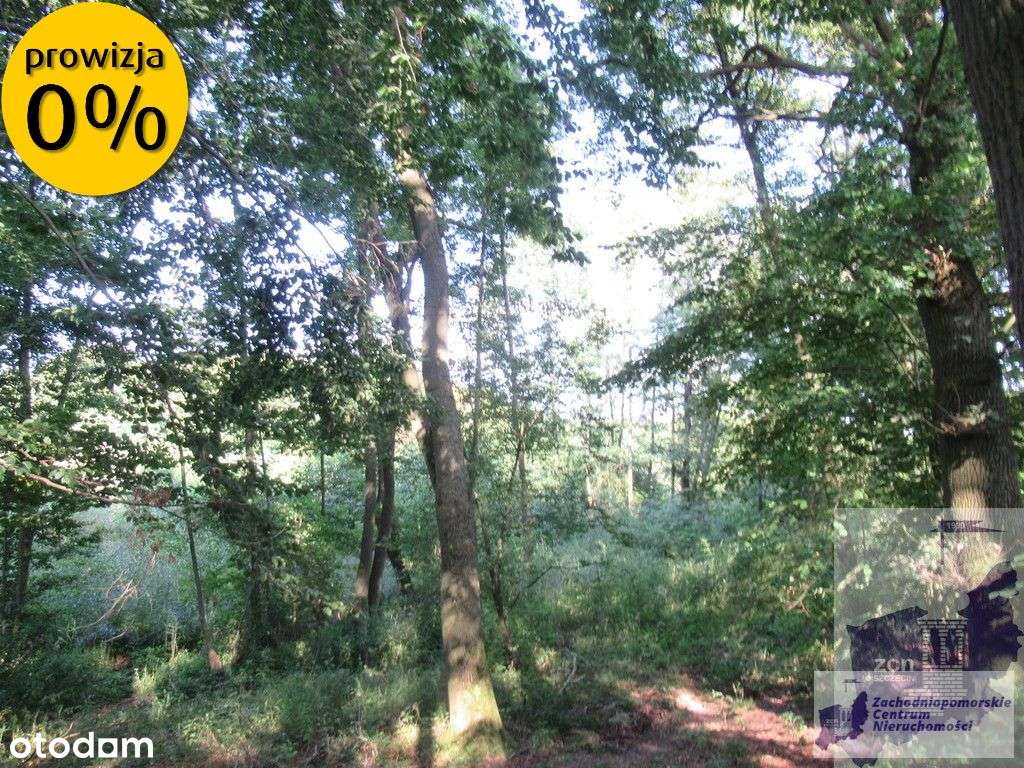 Działka nad jeziorem Woświn-9