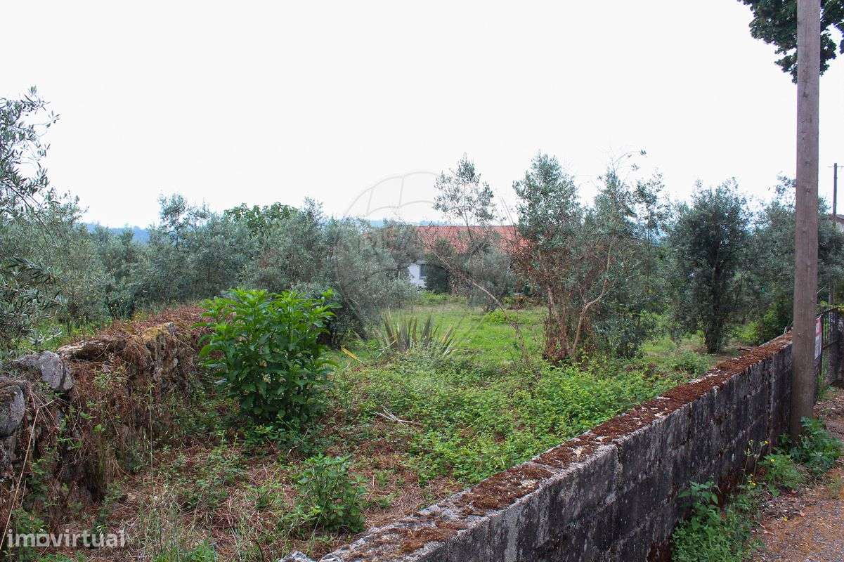 Terreno  para venda - Grande imagem: 4/11