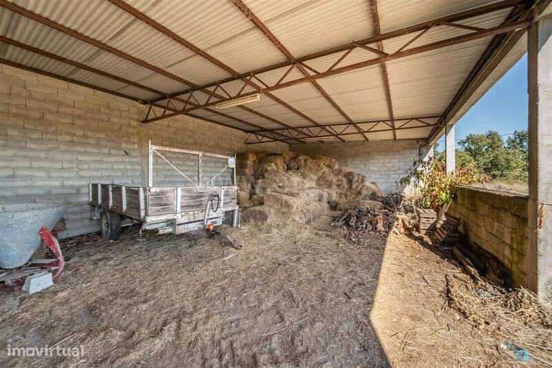 Herdade T6 / Covilhã, Boidobra-14