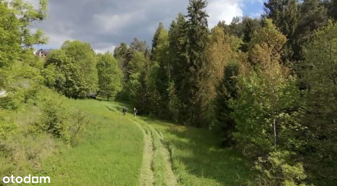 działka budowlano/rolna-9