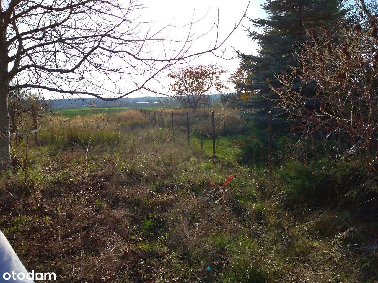 Działka z potencjałem – 2201 m² – Boleszkowice-0