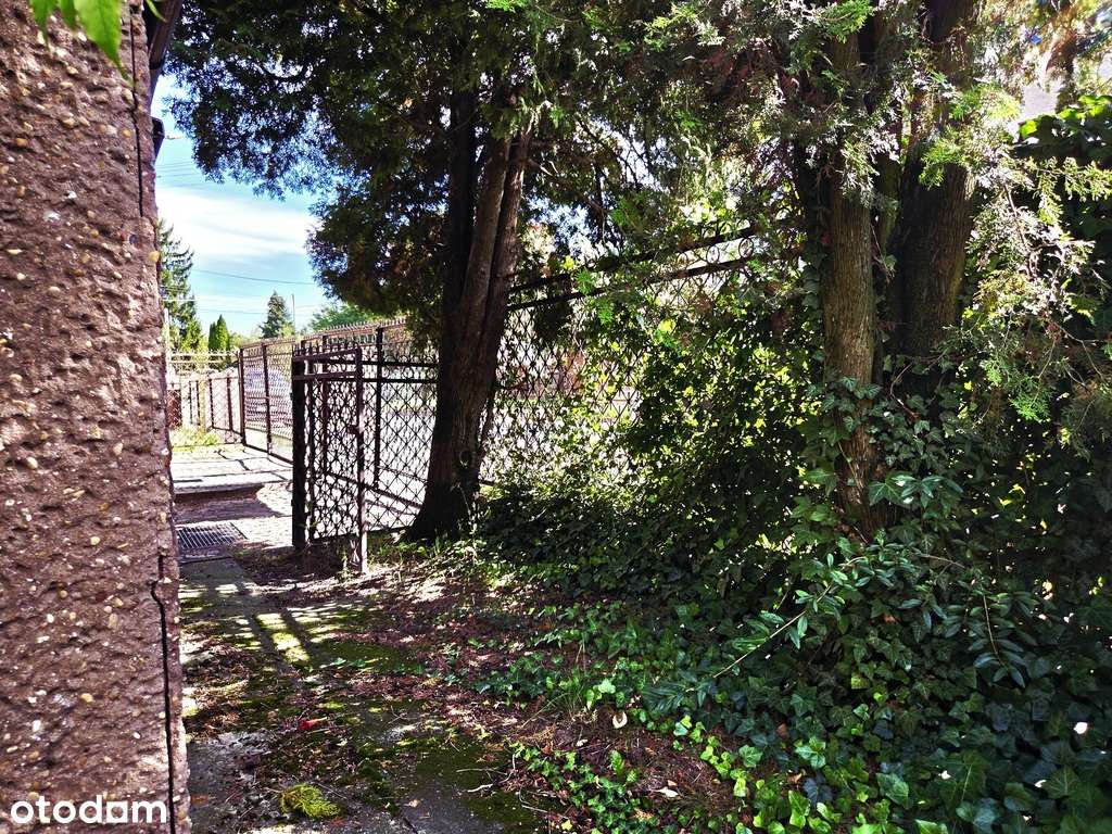 Dom na sprzedaż - Pełny obrazek: 4/20