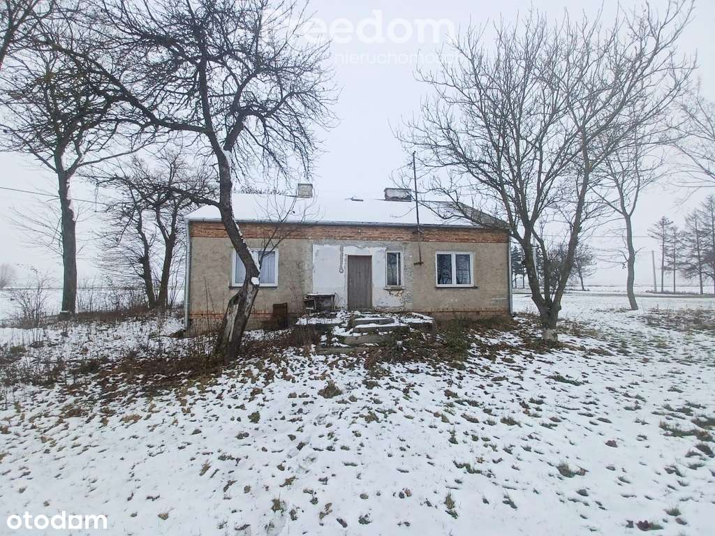 Dom z potencjałem na dużej działce - Pełny obrazek: 4/9