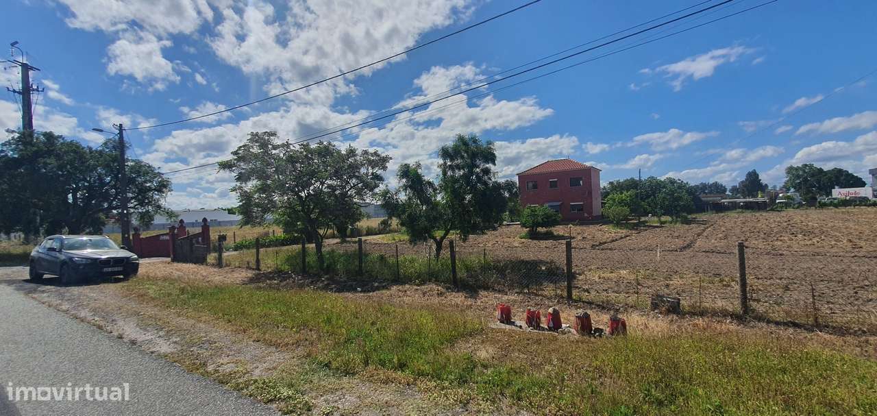 Quinta  5000m2 Viver no Campo Com a Cidade Por Perto Passil Alcochete-53