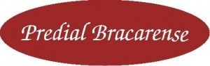 Predial Bracarense Logotipo