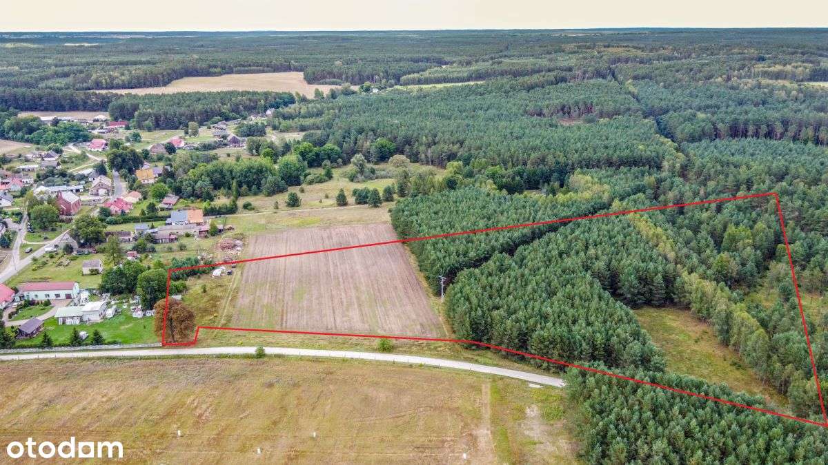 Działka 2 Ha w dobrej cenie-1