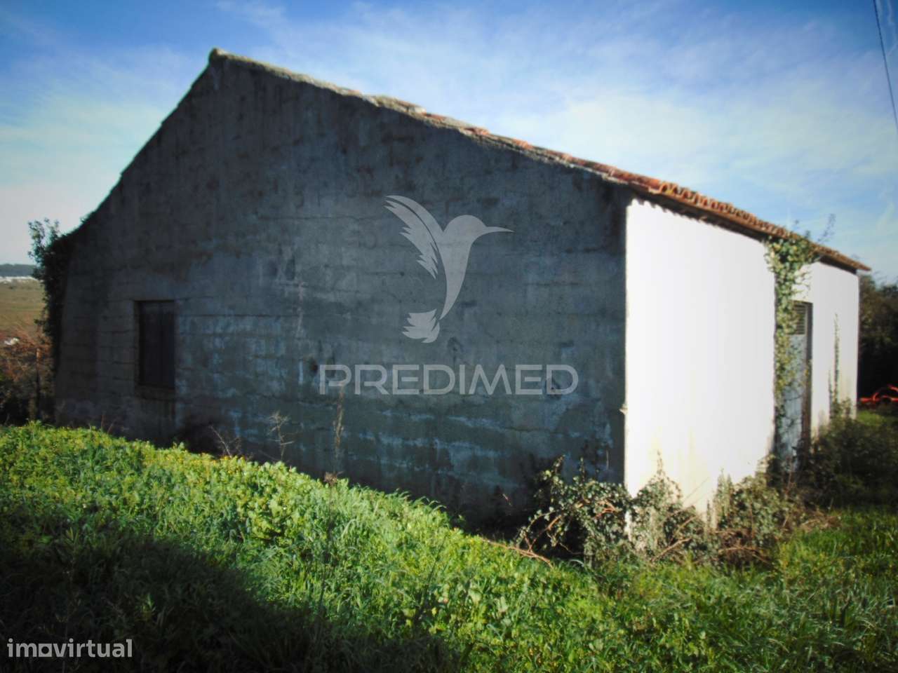 Imóvel p/ recuperar Vilarinho S. Romão - Douro Vinhateiro - Grande imagem: 3/20