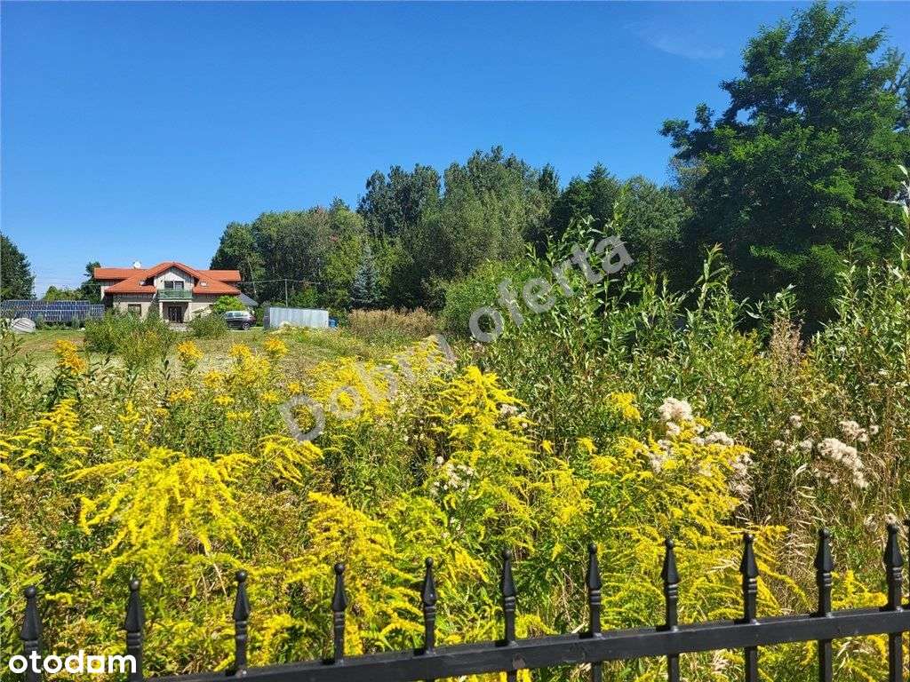 Duża działka w Barczącej - blisko Pkp-4