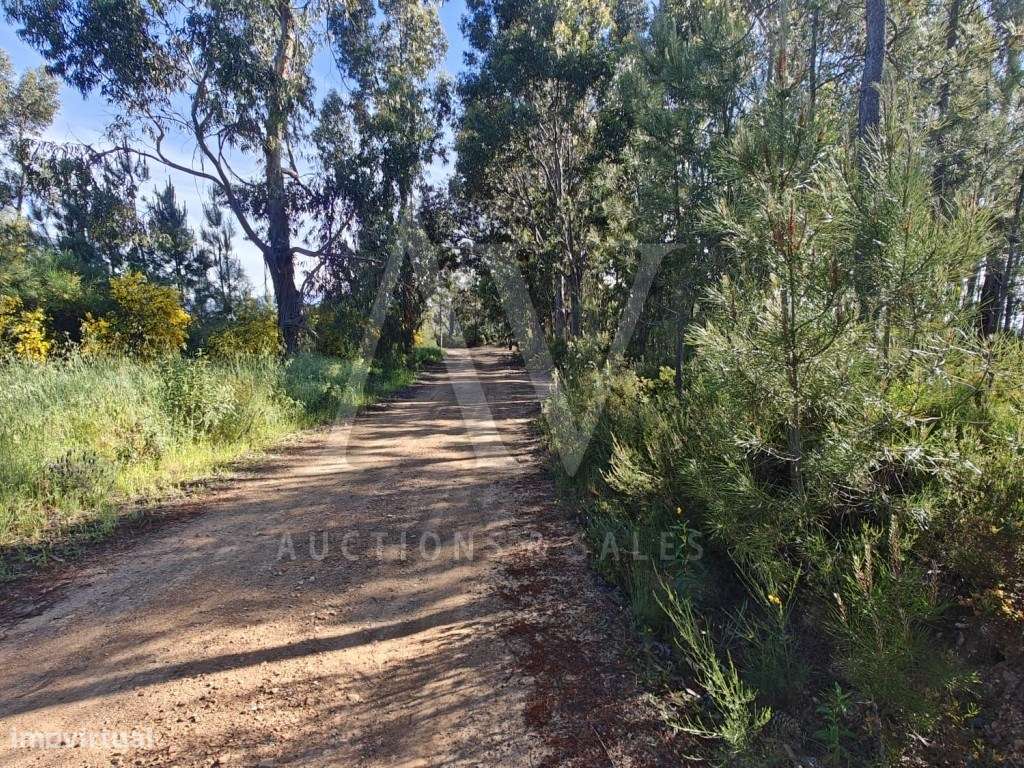 Terrenos Rústicos - SILVARES - FUNDÃO - | VENDA POR NEGOCIAÇÃO PART... - Grande imagem: 4/7