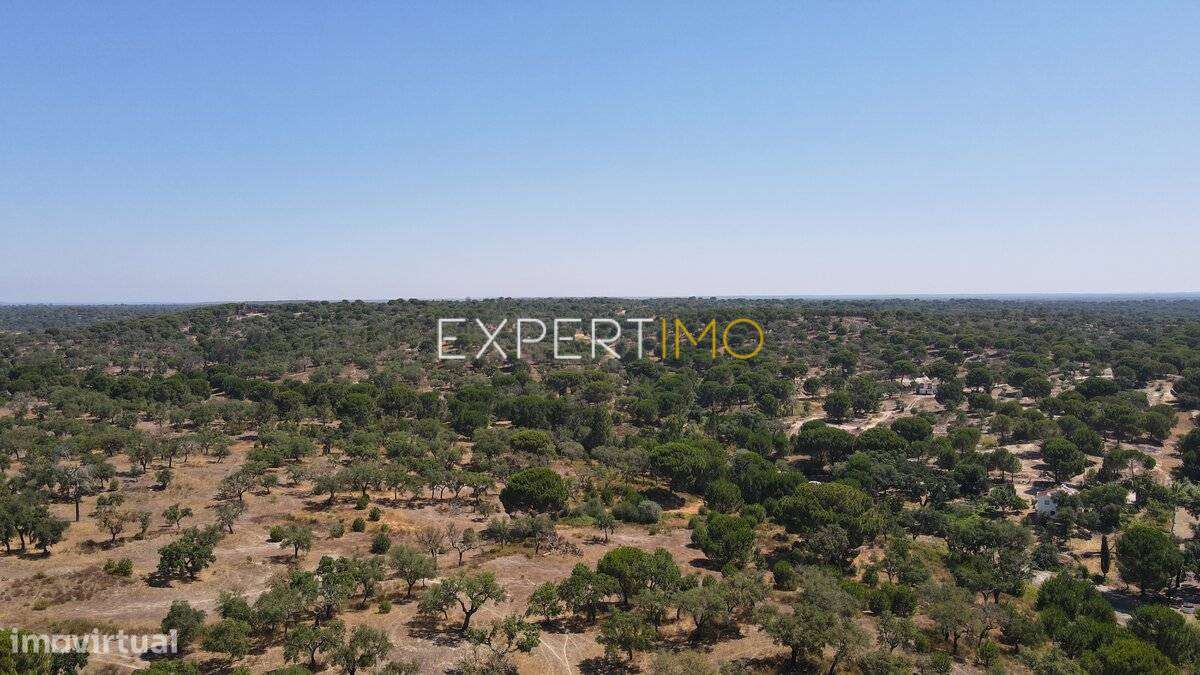 Herdade com 81,79 ha - Mora-10