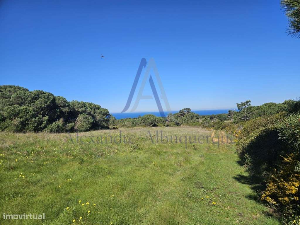 Terreno Misto Rústico e Urbano com Vista Mar - Natureza e Potencial... - Grande imagem: 5/11